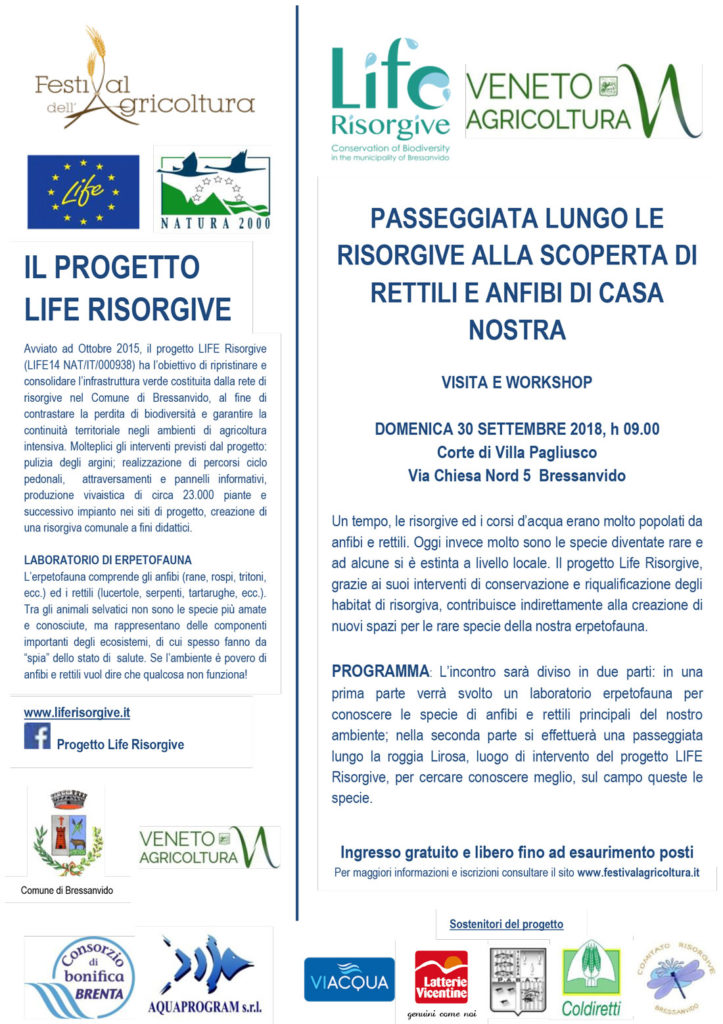 Volantino-Festival-agricoltura_PASSEGGIATA-RISORGIVE