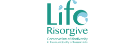 LIFE RISORGIVE Conservazione della biodiversità nel comune di Bressanvido